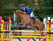 Montrone Finally One GioCav2013 S5 2179 : Campionati Italiani Giovani Cavalli, Cattolica, Finally One, Montrone Savio, ph Stefano Secchi ©